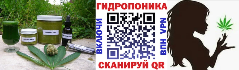 Canna-Cookies конопля  как найти наркотики  Светлоград 