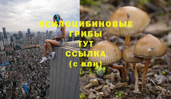 мет Аркадак