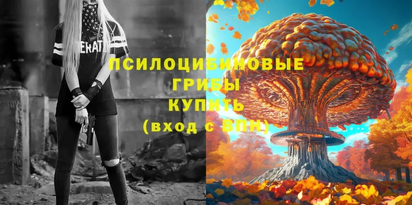 мет Аркадак