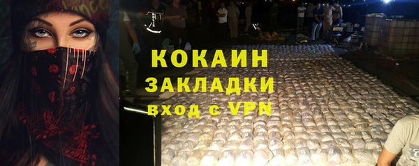 прущая мука Арсеньев